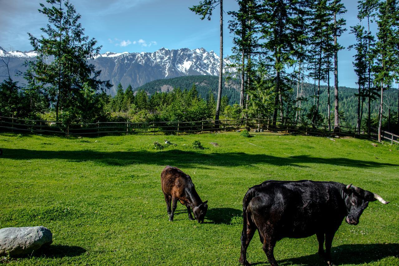 Вілла Sweetwater Lane Farm Mount Currie Екстер'єр фото
