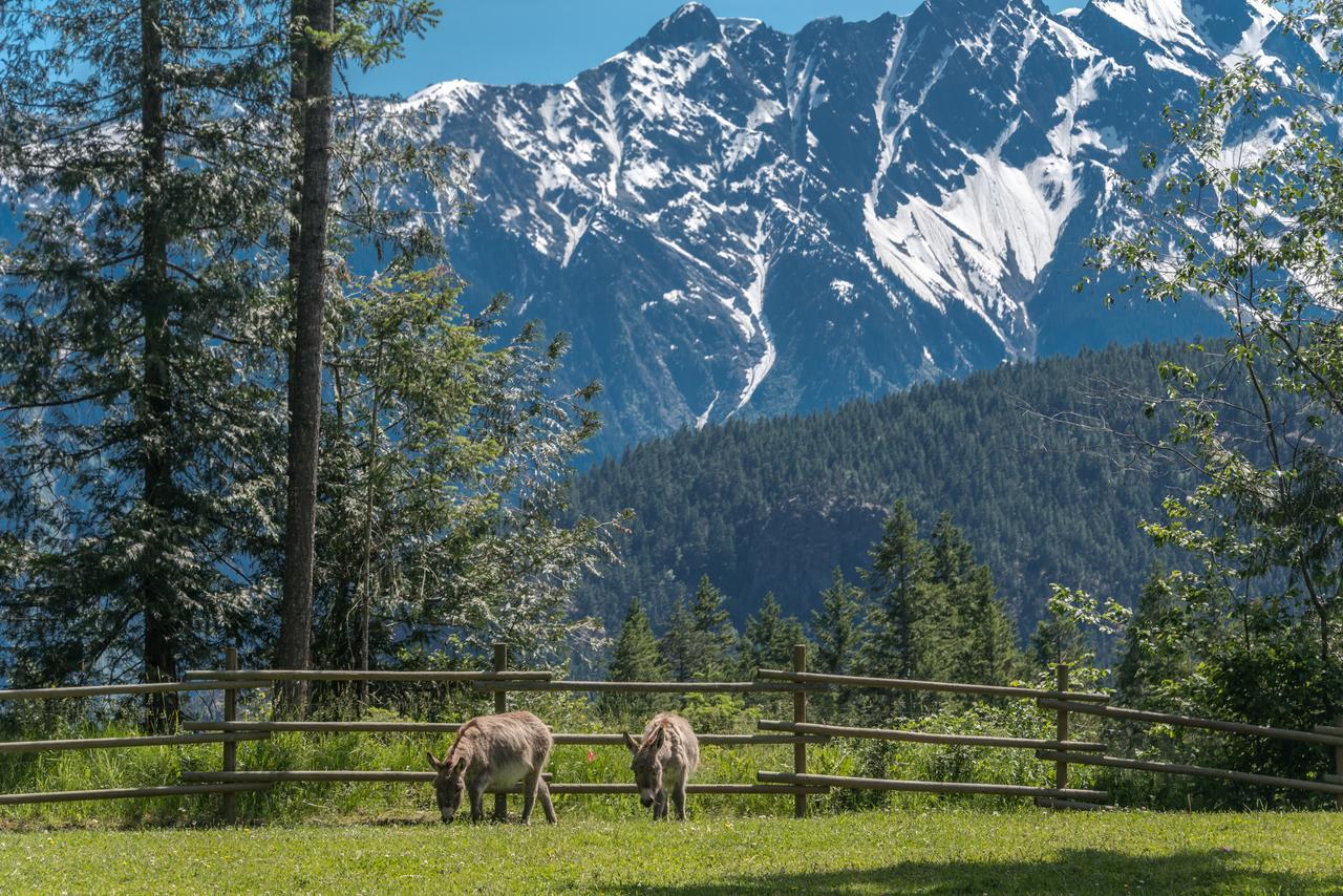 Вілла Sweetwater Lane Farm Mount Currie Екстер'єр фото