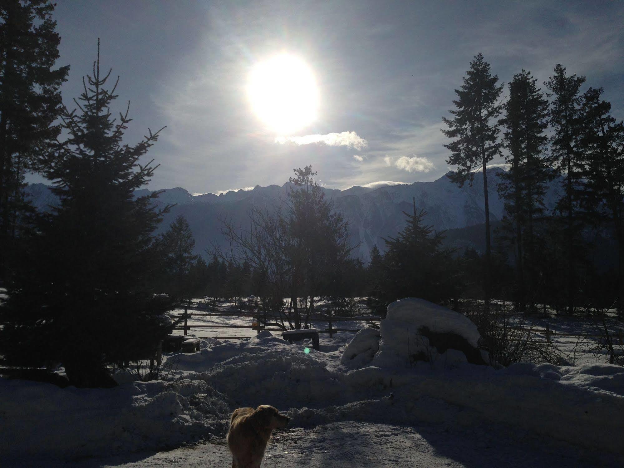 Вілла Sweetwater Lane Farm Mount Currie Екстер'єр фото