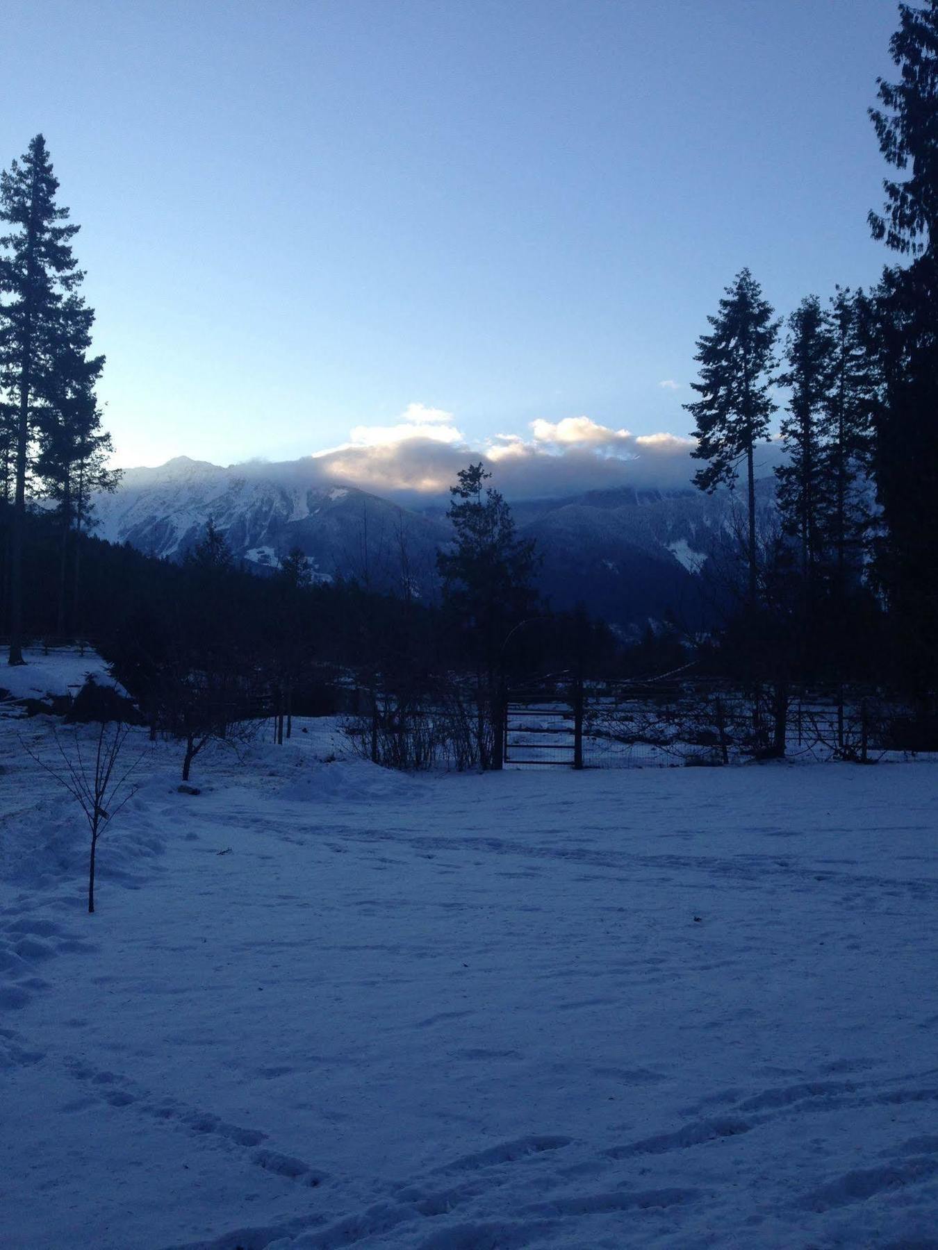 Вілла Sweetwater Lane Farm Mount Currie Екстер'єр фото